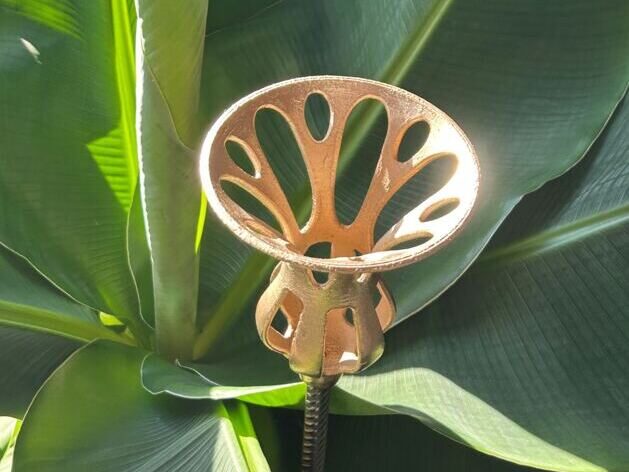 Blumen in Bronze